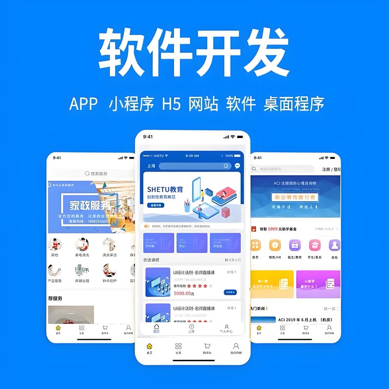 合肥软件开发：让企业插上科技翅膀